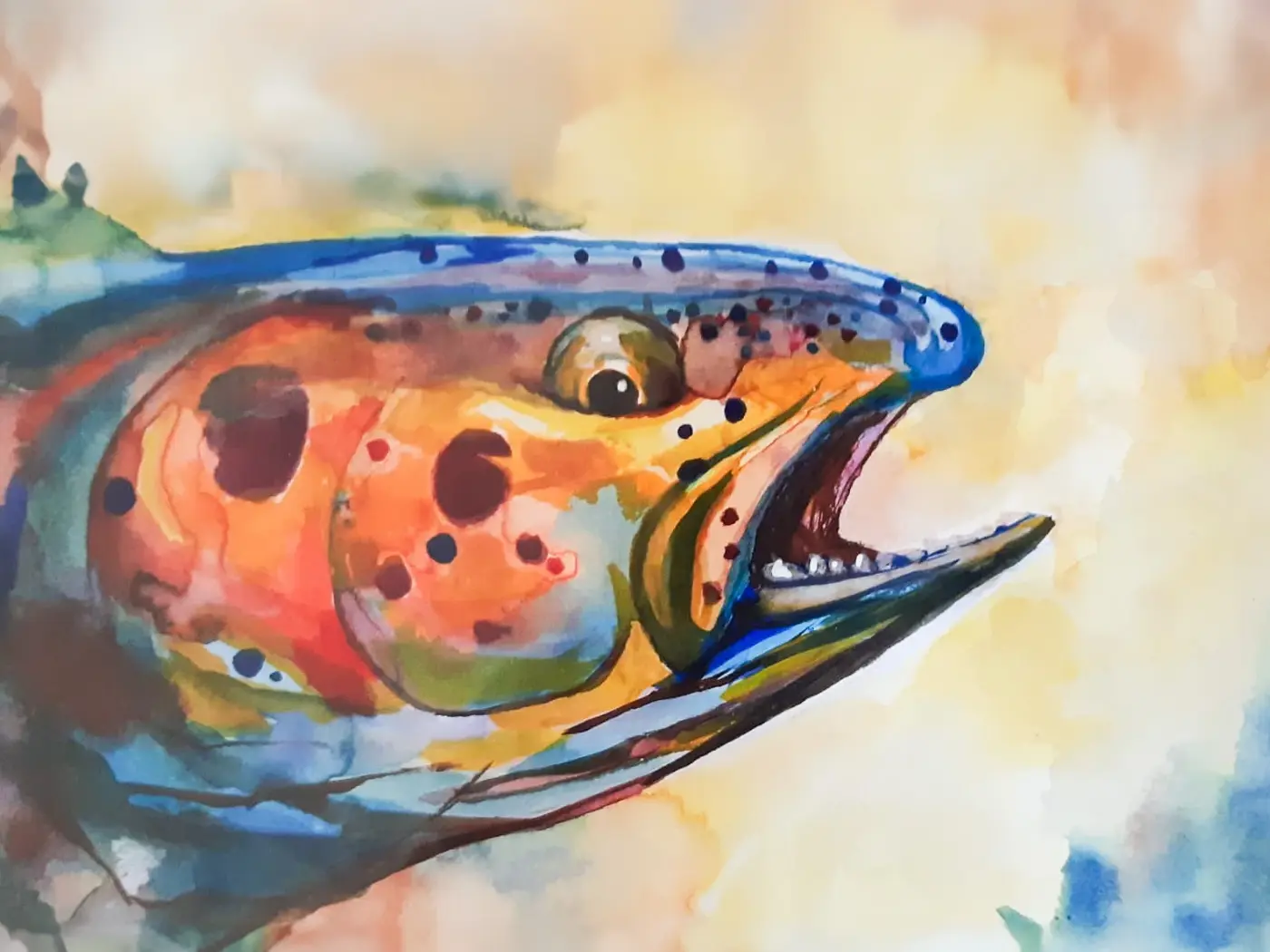 Sommerfischen ab 1. April